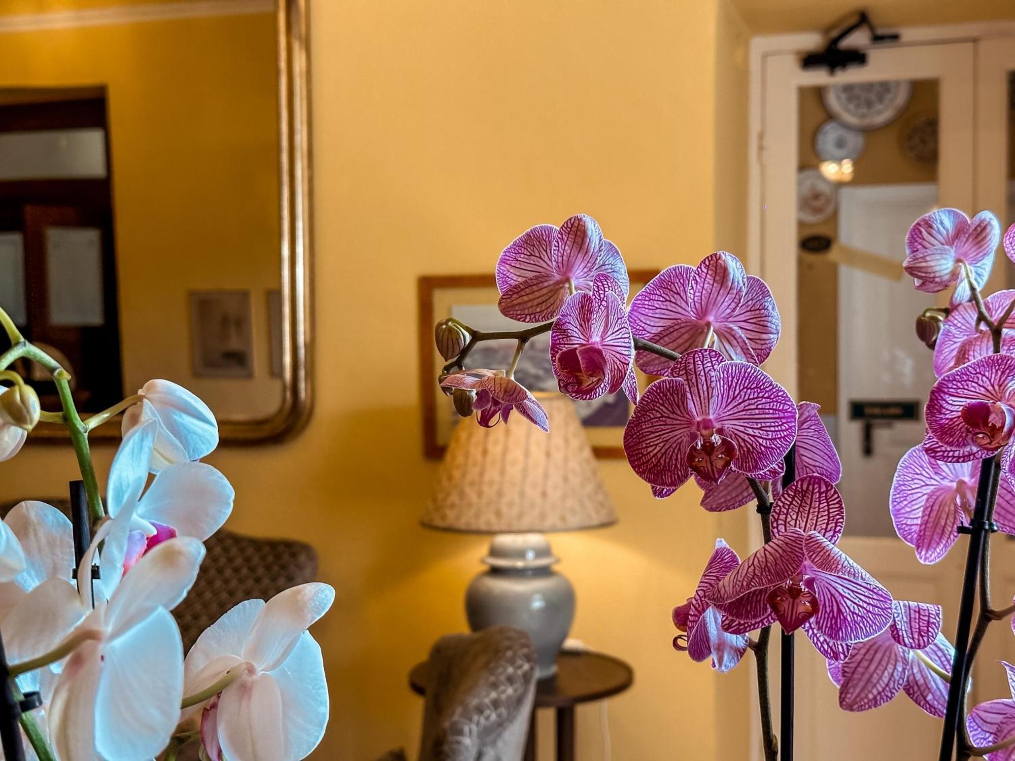 Hotel Villa Anita Santa Margherita Ligure Dış mekan fotoğraf